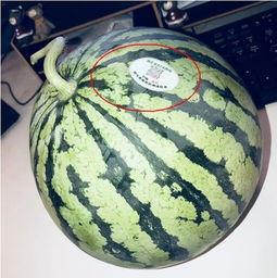 铜仁网红吃瓜,揭秘网络舆论背后的真相